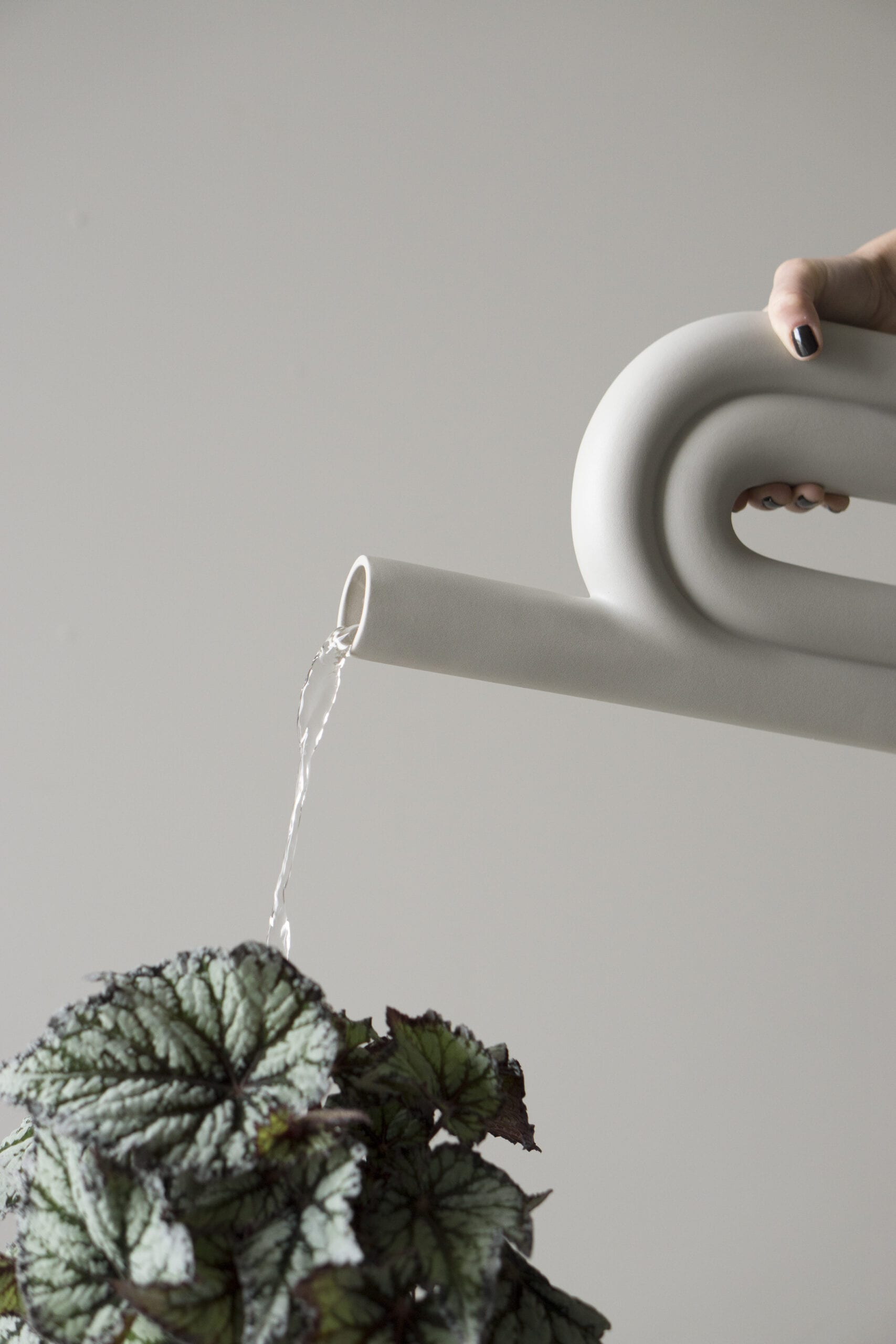 ROPE - White - L - Pilt 3