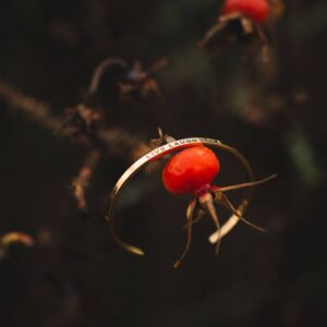 Olla Ehe bracelets with a message
