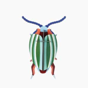 Rainbow Leaf Beetle