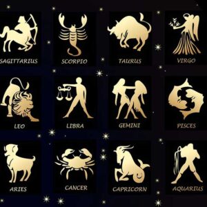 ZEN 925 Sterling Silver - Zodiac Earrings