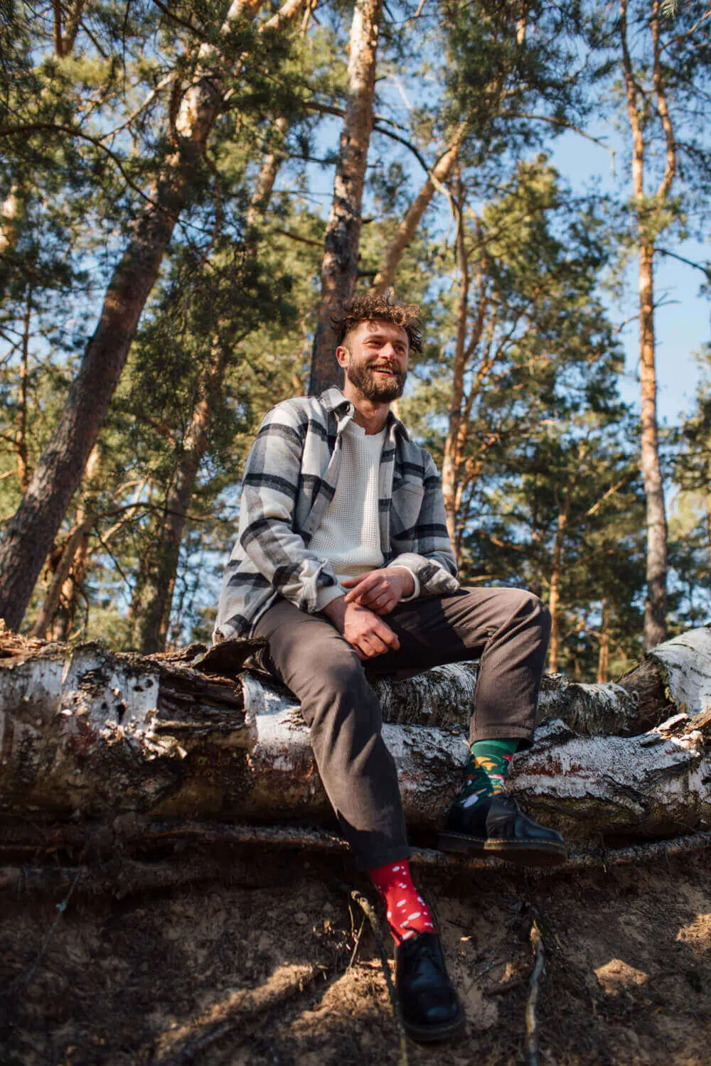 Meet the Shrooms - Pilt 2