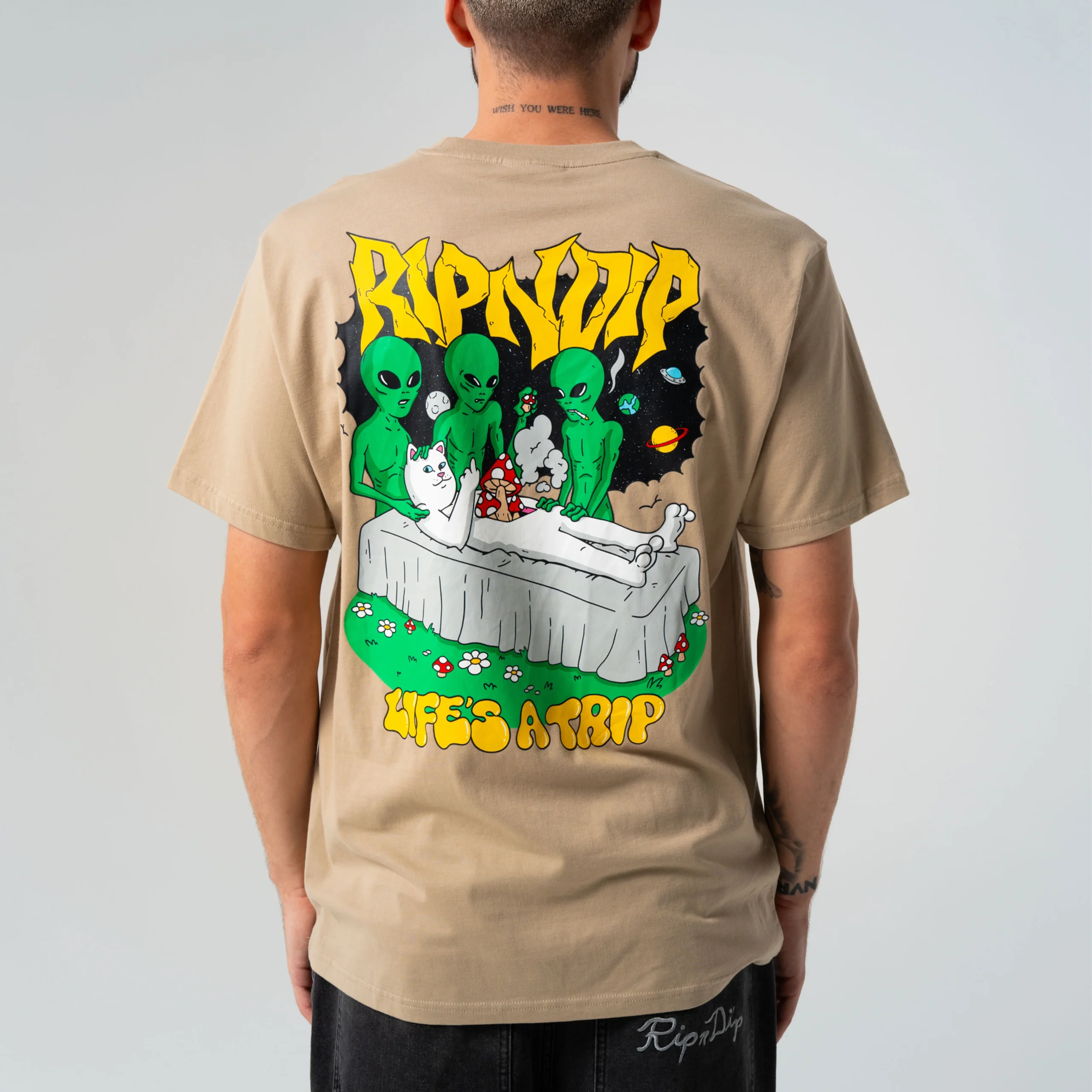Harvest Tee - Khaki - Image 2