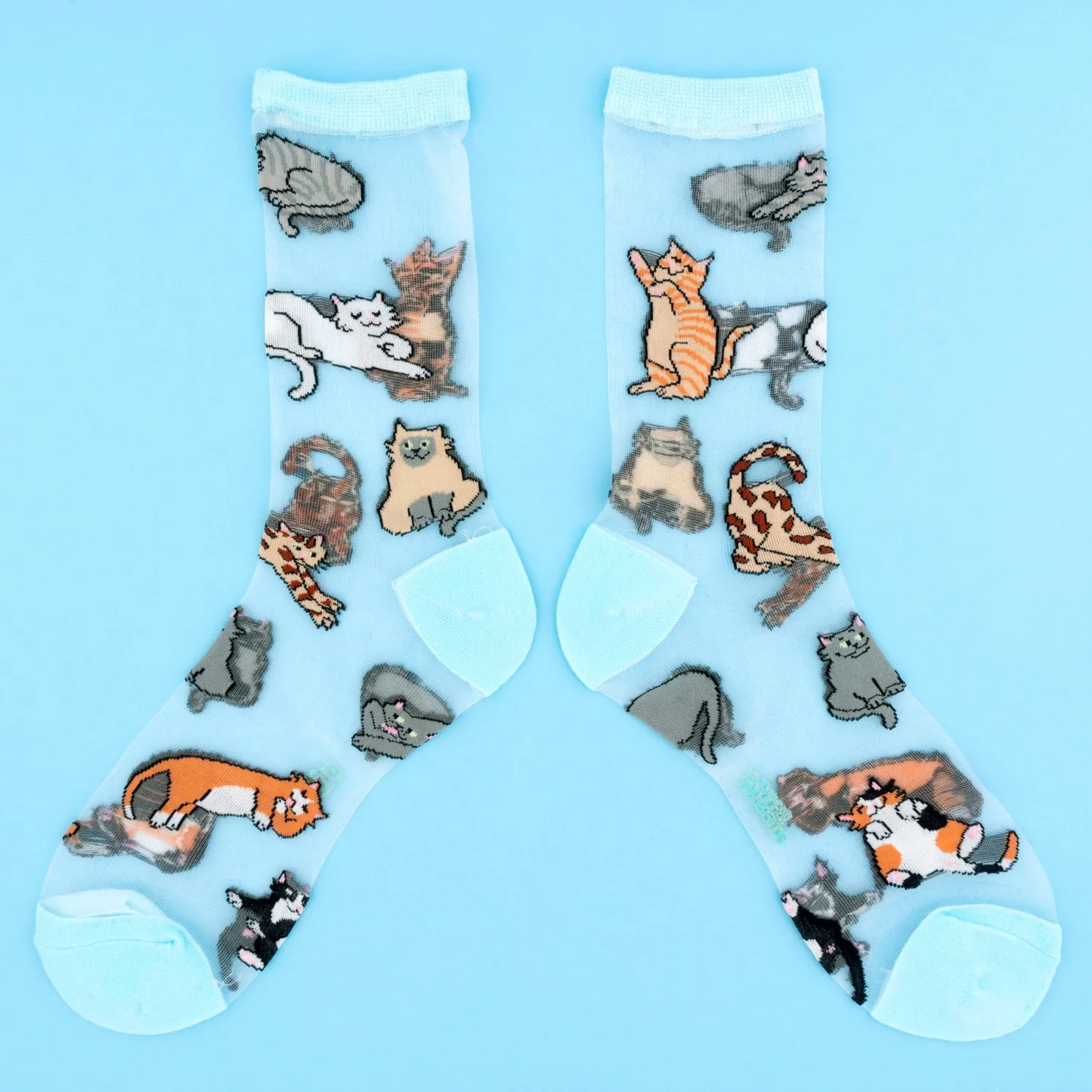 Cats - Transparent Socks - Pilt 2