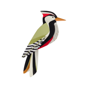 Woodpecker