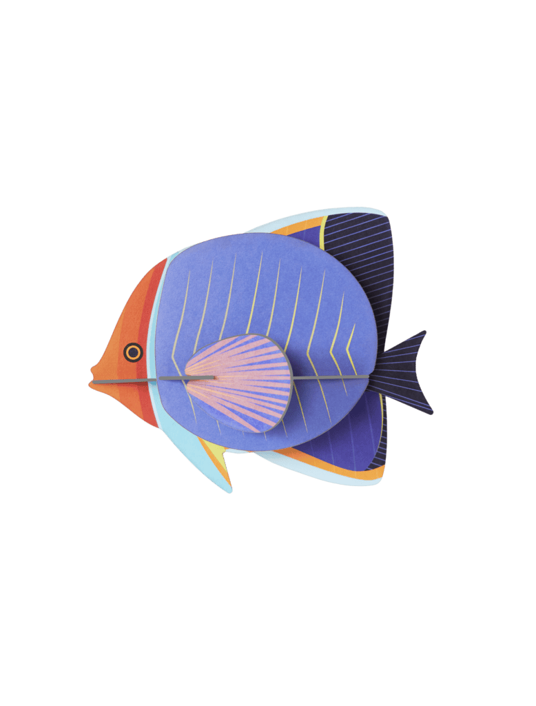 Butterflyfish