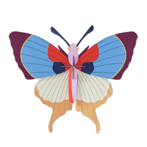 Plum Fringe Butterfly