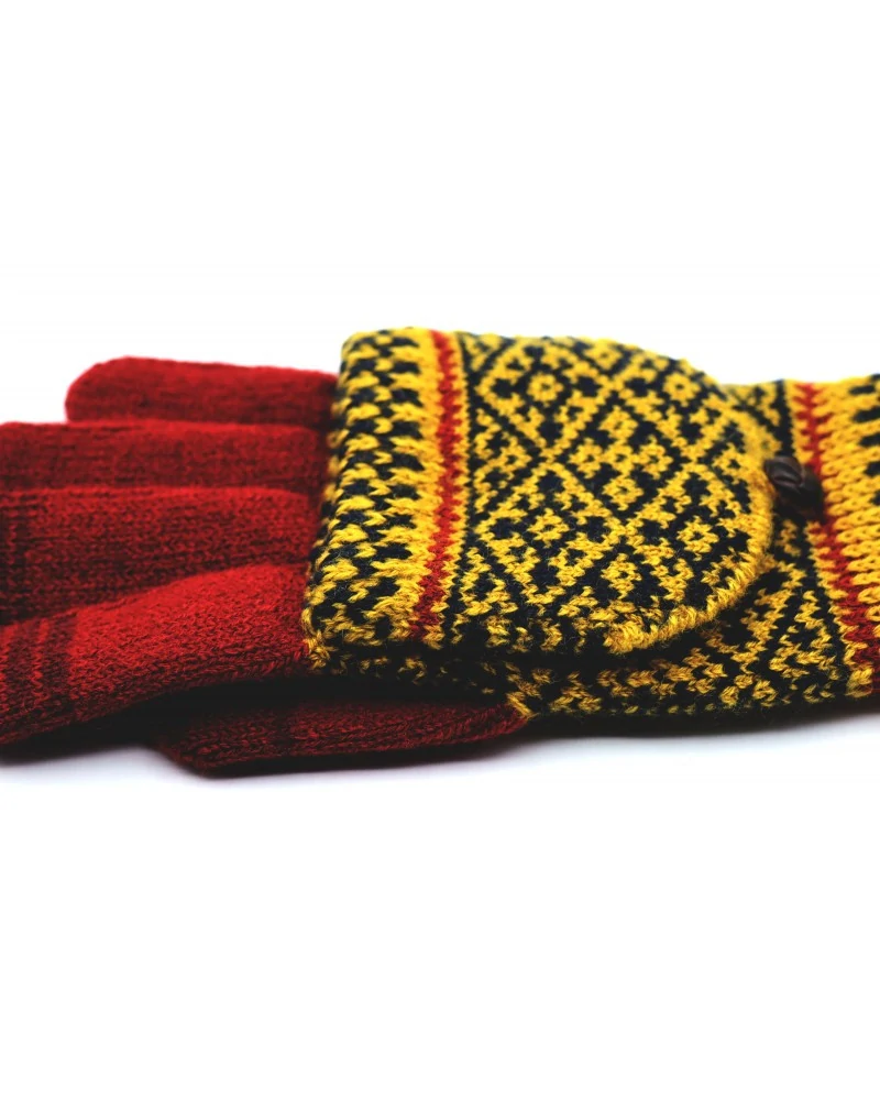 Evolg - MIT x Burgundy - Pilt 2