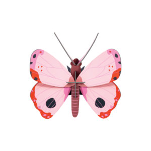 A digital illustration of the Fern Butterfly (Copy) by StudioROOF, showing symmetrical, rounded pink wings with black and red accents, plus a brown body on a white background. Gate21.ee