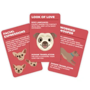 Three illustrated cards in the How to Speak Cat – Trivia Card Game explain cat body language—Facial Expressions, Look of Love, Worried Woofer—each with a playful cartoon cat face and a fun style inspired by the Totally 90's Trivia Card Game. Gate21.ee